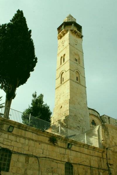 Египет,сезон 2012